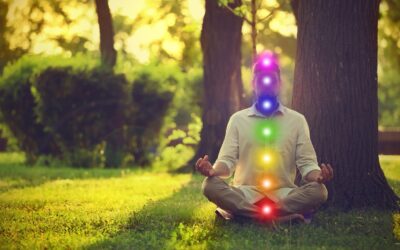What are the 7 Chakras and what role do the Chakras play in Tantra?